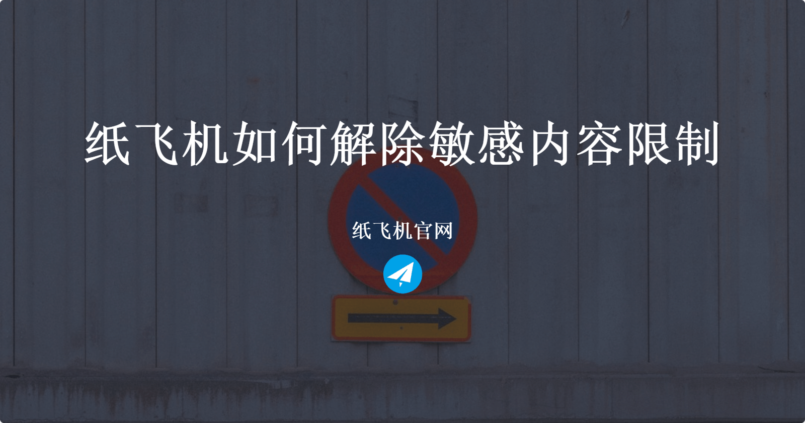 纸飞机如何解除敏感内容限制